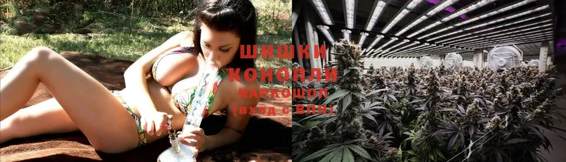 Каннабис OG Kush  Назрань 